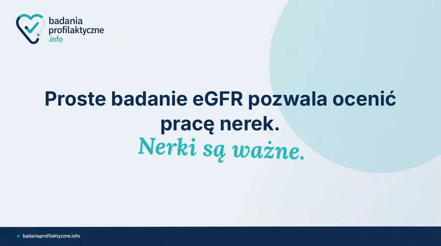 Kreatynina i eGFR — kiedy zbadać nerki w programie Moje Zdrowie